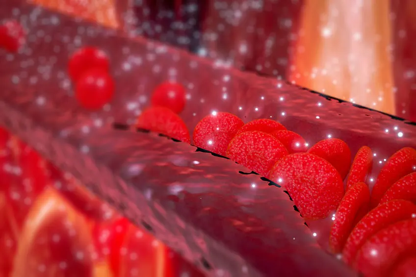 Red blood cells and peripheral artery disease