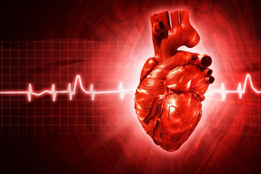 congenital heart disease and abnormal heart rhythm
